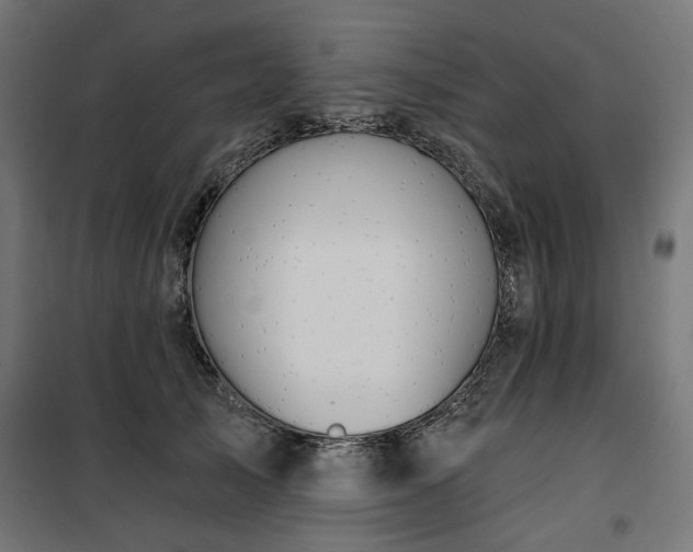 X0000100470705200806201607