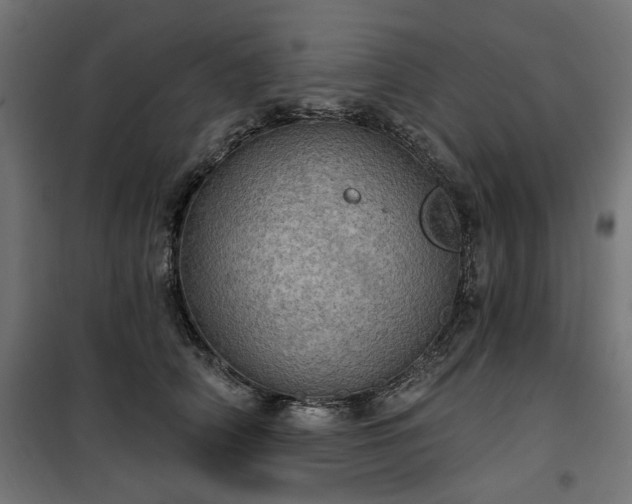 X0000100470706200806201607