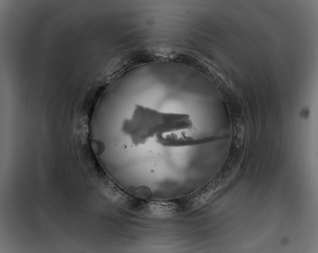 X0000100470707200806201607