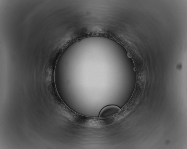 X0000100470708200806201607