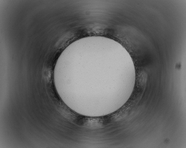 X0000100470709200806201607