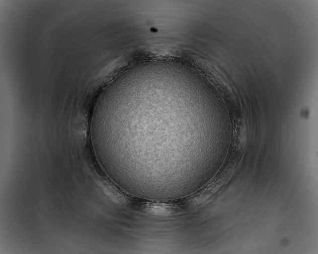 X0000100470710200806201607