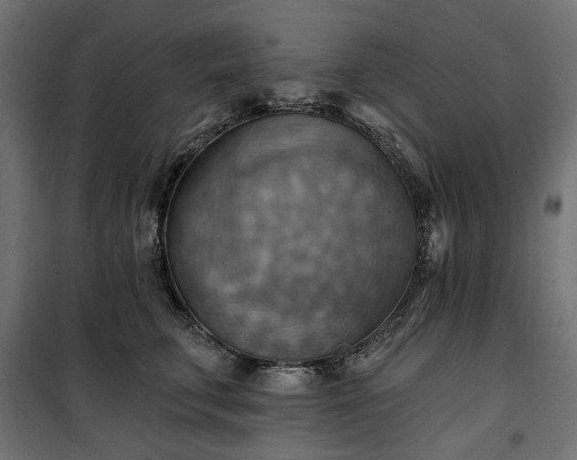 X0000100470711200806201606