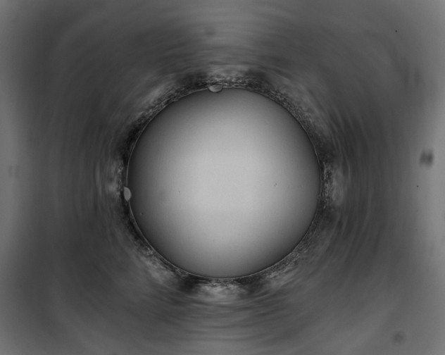 X0000100470712200806201606