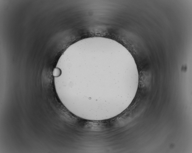 X0000100470713200806201606