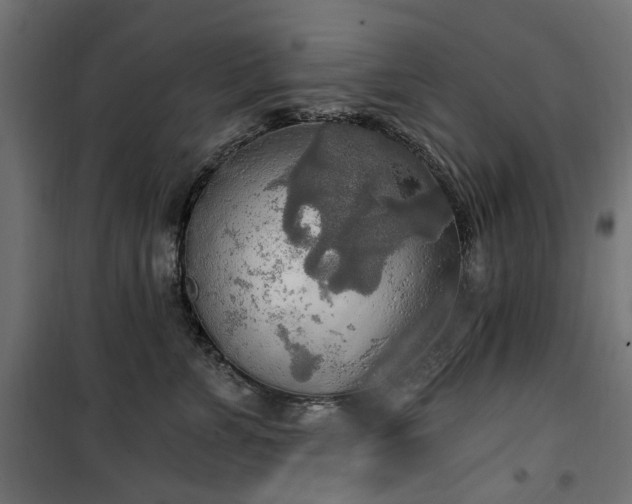 X0000100470715200806201606