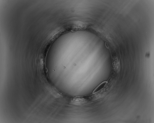 X0000100470716200806201606