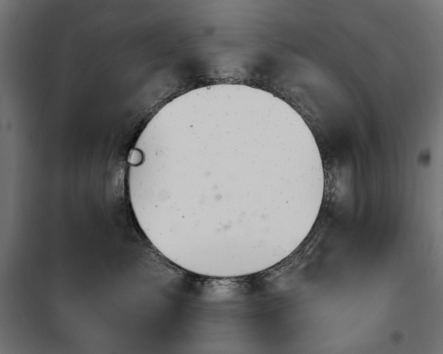 X0000100470717200806201606