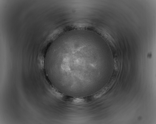 X0000100470718200806201606