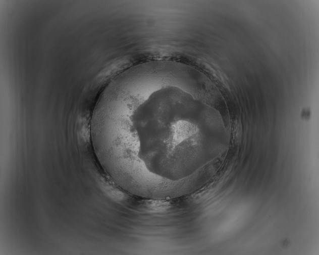 X0000100470719200806201606