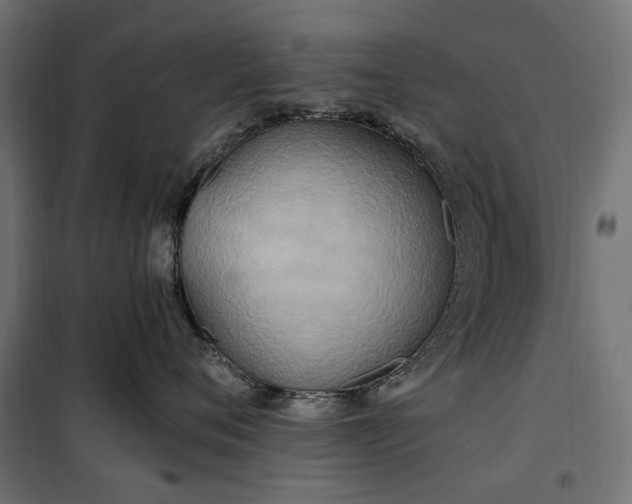 X0000100470720200806201606