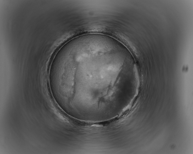 X0000100470721200806201606