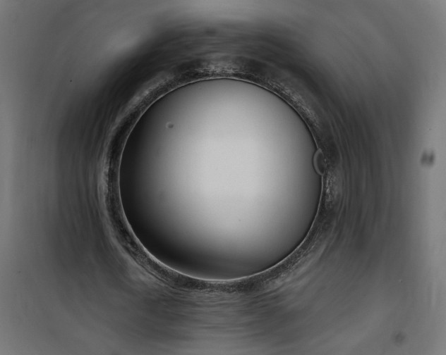 X0000100470722200806201606