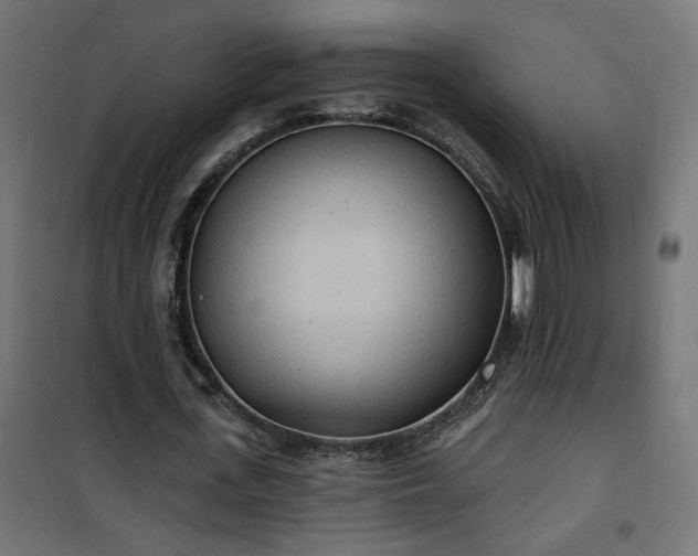 X0000100470723200806201606