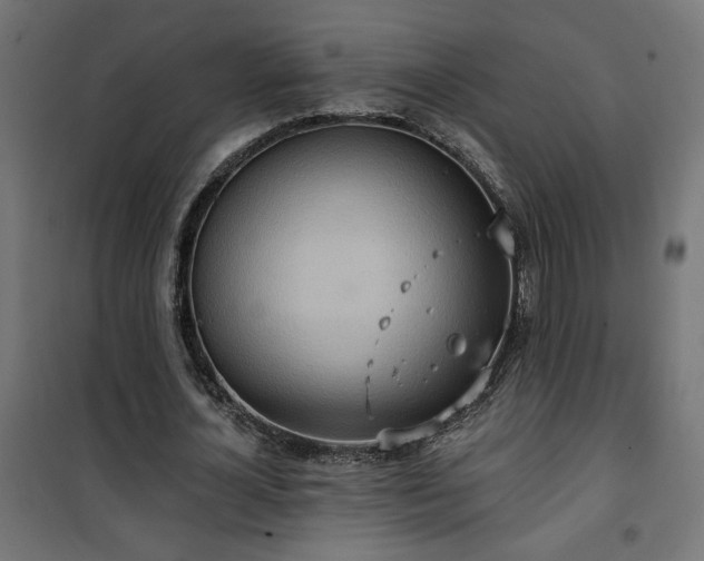 X0000100470724200806201606