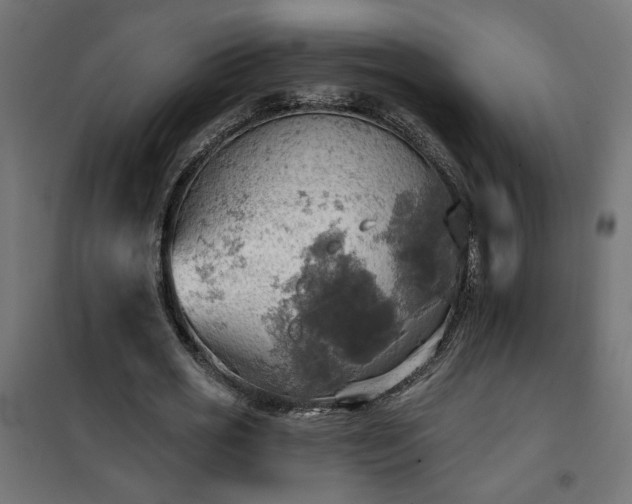 X0000100470725200806201606