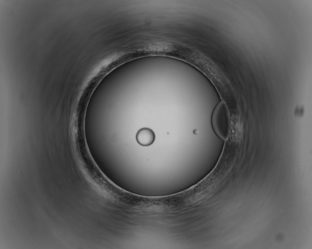 X0000100470726200806201606