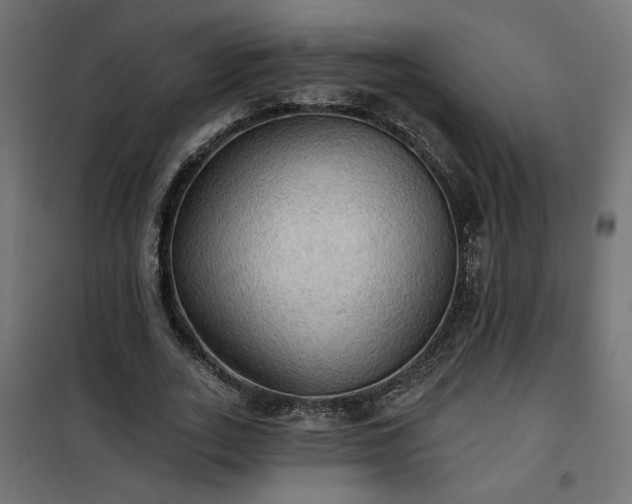 X0000100470727200806201606