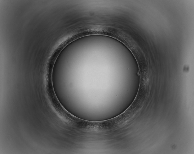 X0000100470728200806201606