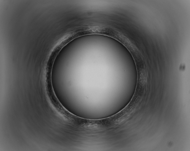 X0000100470730200806201606