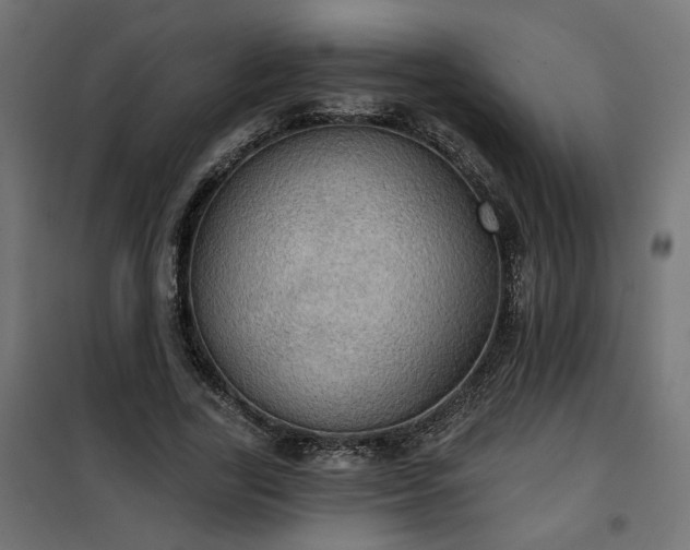 X0000100470731200806201606