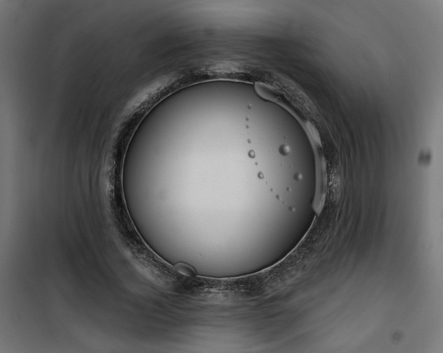 X0000100470732200806201606