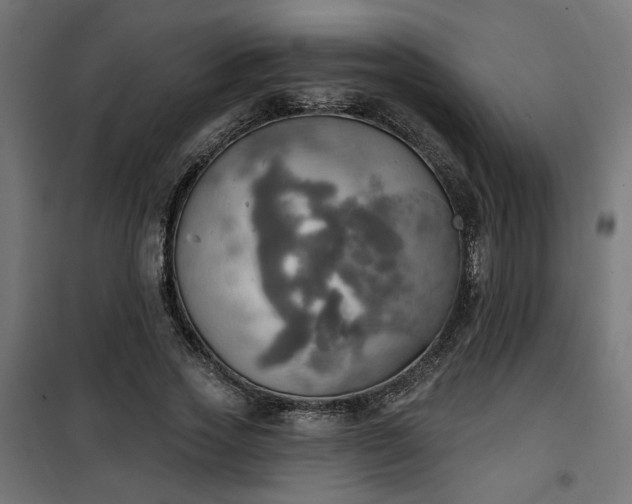 X0000100470733200806201606