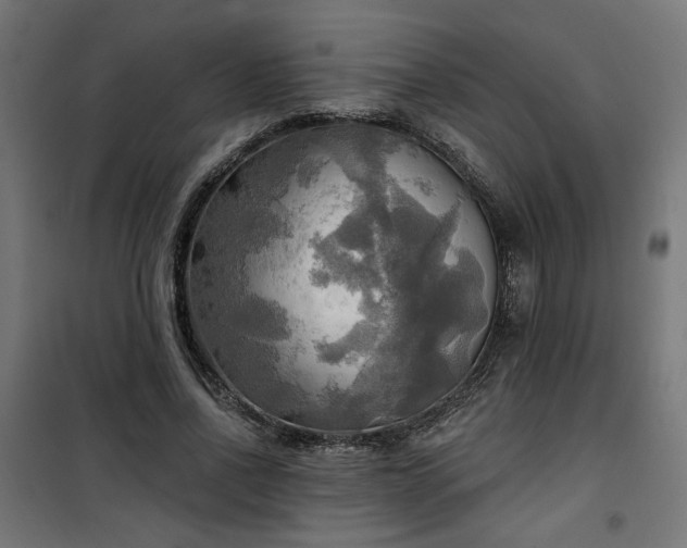 X0000100470734200806201606