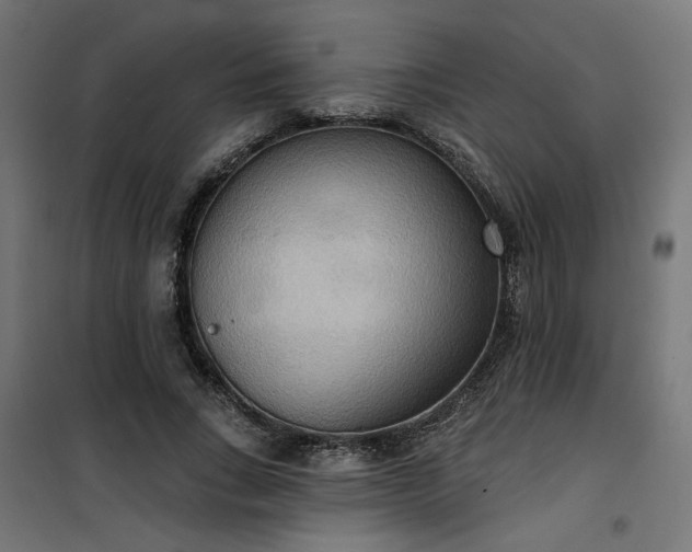 X0000100470735200806201606