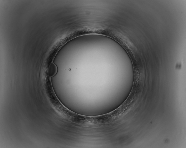 X0000100470736200806201606