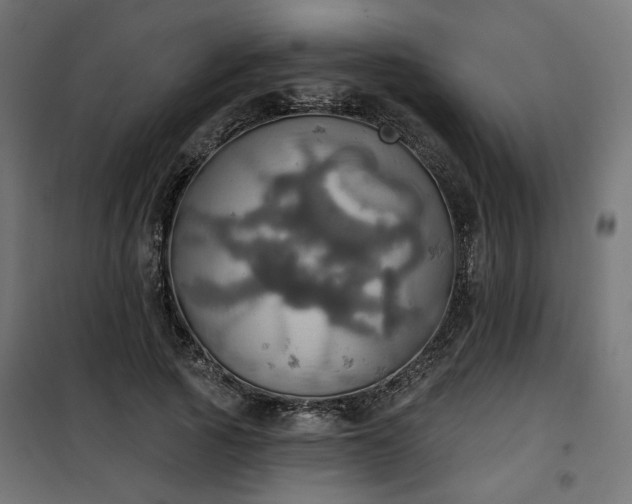 X0000100470737200806201606