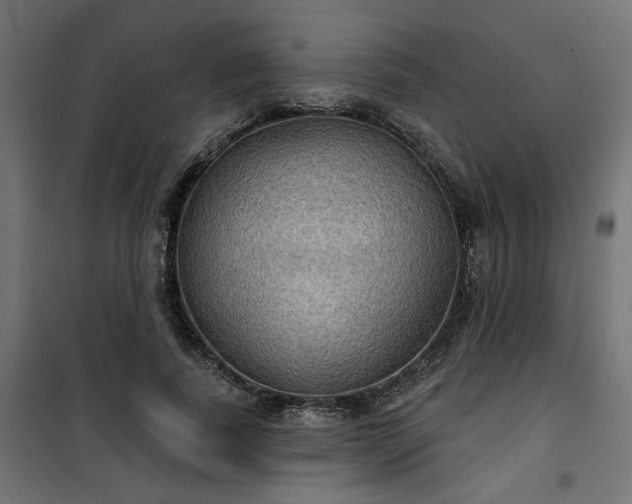 X0000100470739200806201606