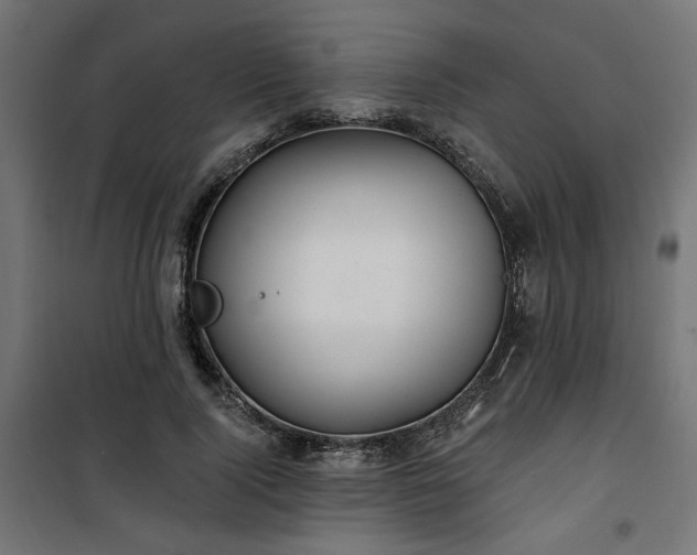 X0000100470740200806201606