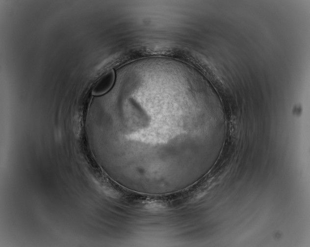 X0000100470741200806201606