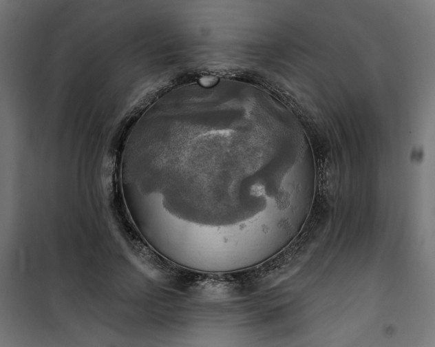 X0000100470742200806201606