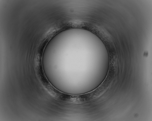 X0000100470744200806201606