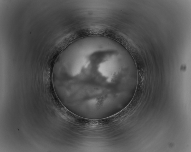 X0000100470745200806201606