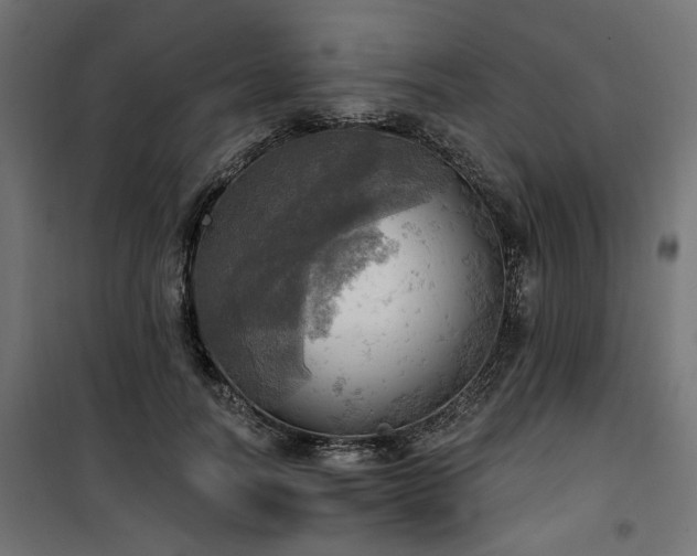 X0000100470746200806201606