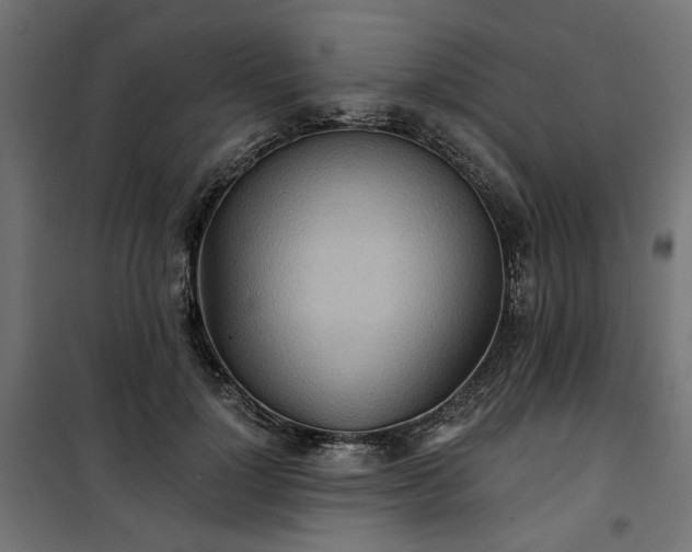 X0000100470748200806201606