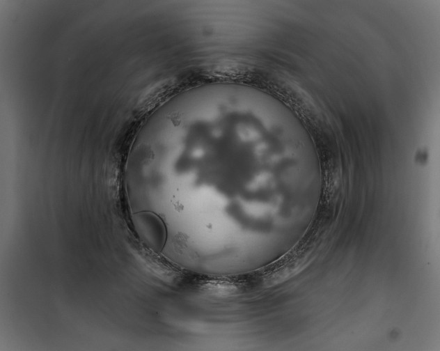 X0000100470749200806201606