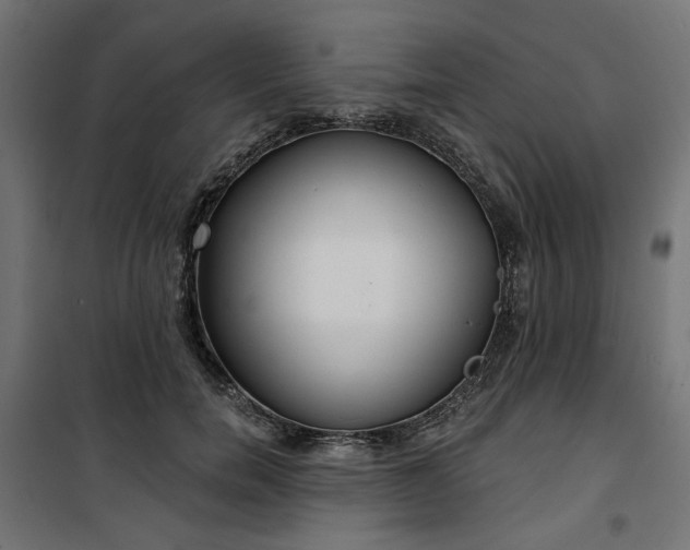 X0000100470750200806201606