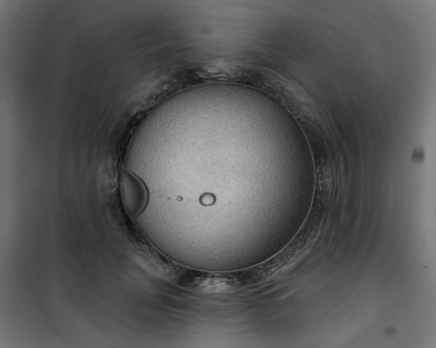 X0000100470751200806201606