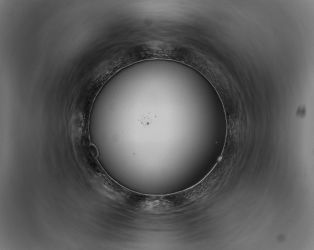 X0000100470752200806201606