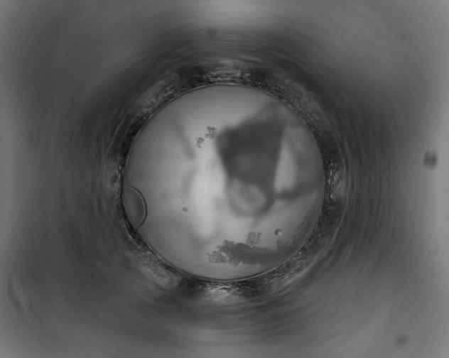 X0000100470753200806201606