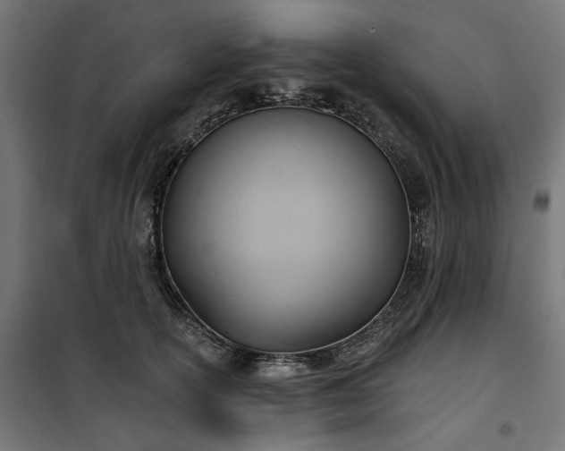 X0000100470754200806201606