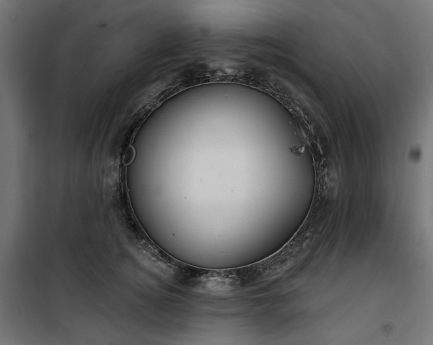 X0000100470756200806201606