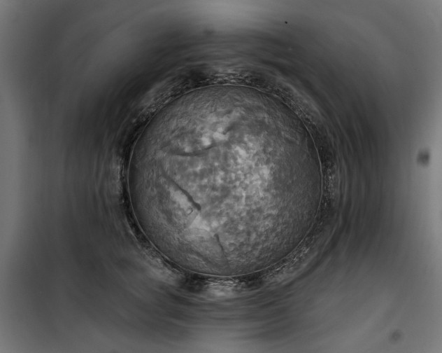 X0000100470757200806201606