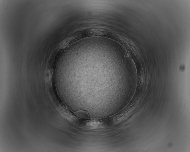 X0000100470759200806201606