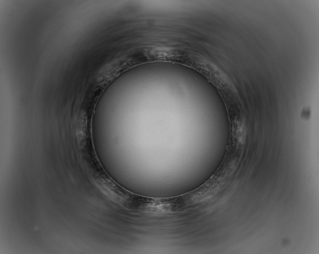 X0000100470760200806201606