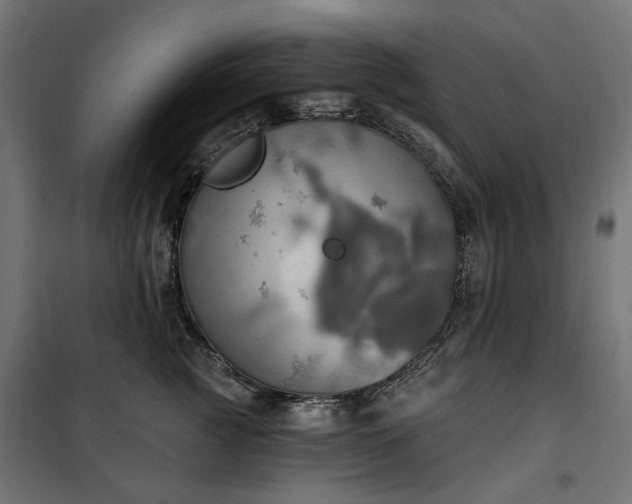 X0000100470761200806201606